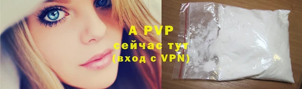 apvp Кострома