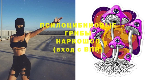 мдма Богородицк