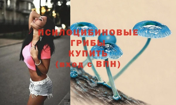 стафф Белокуриха